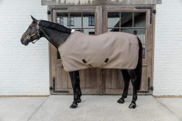 Kentucky 4D Spacer cooler