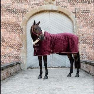 Kentucky Sammets Show Rug, 160g, vinröd