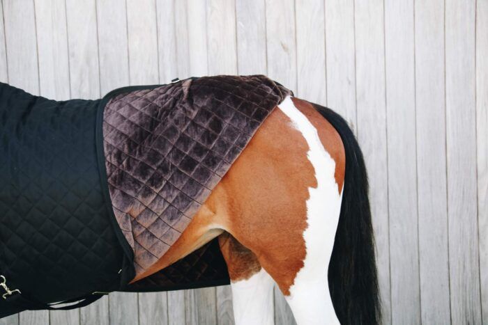 Kentucky Show Rug, 160g, svart. - Bild 4