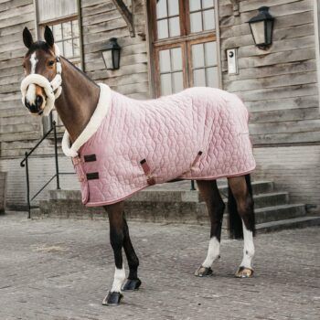 Kentucky Sammets Show Rug, 160g, rosa