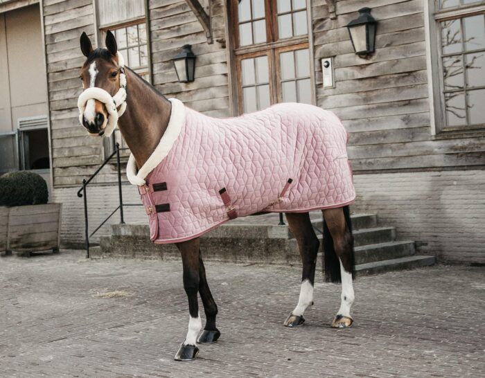 Kentucky Sammets Show Rug, 160g, rosa