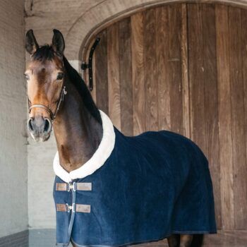 Kentucky fleece Show Rug