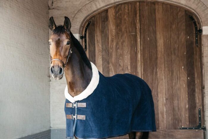Kentucky fleece Show Rug