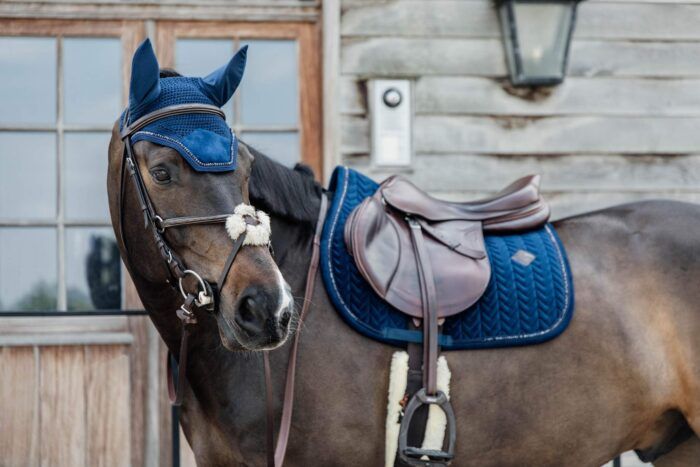 Kentucky hoppschabrak sammet med pärlor, fyra olika färgerððð¤ð