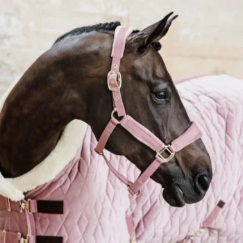 Kentucky sammets grimma