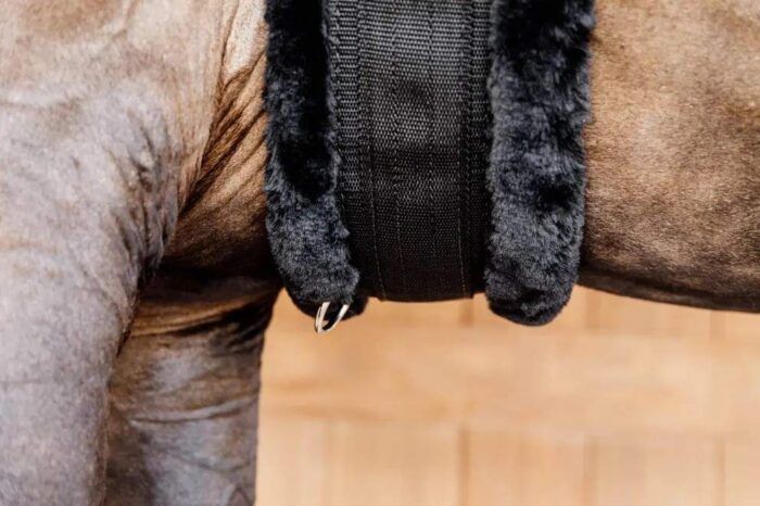 Kentuckys fårskinnsgjord - Bild 5