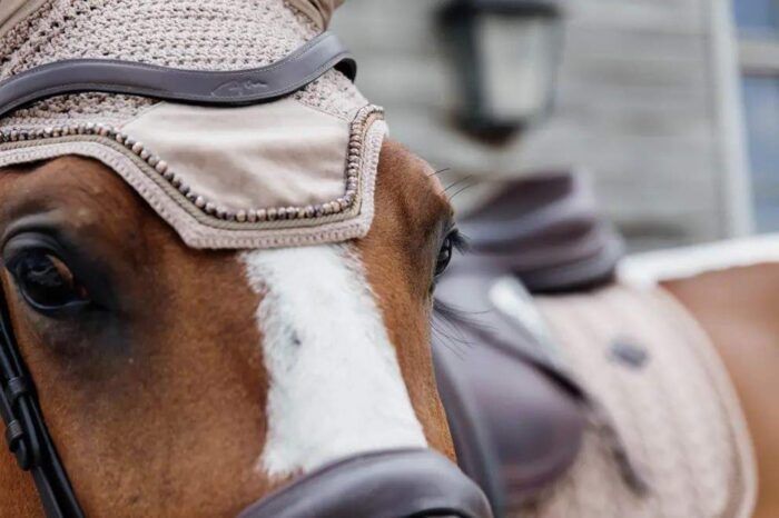 Kentucky flughuva sammet med pärlor, Beige - Bild 2