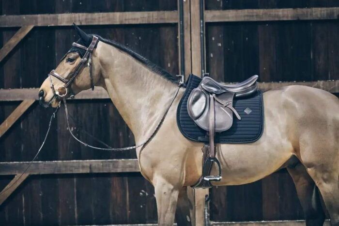 Kentucky hoppschabrak med pärlor, fyra olika färger ð¤ð¤ðð¤