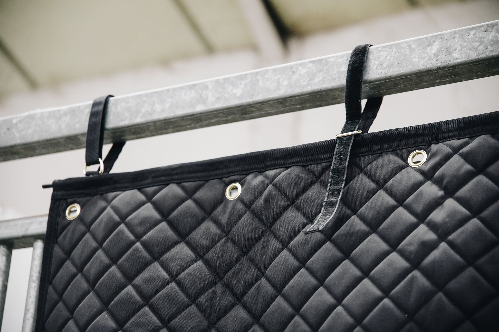 Kentucky boxgardin - Bild 3