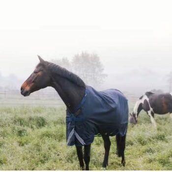 Kentucky Turnout Comfort 1200D
