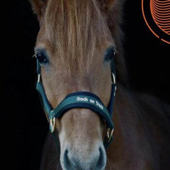 Back on Track Werano Grimma