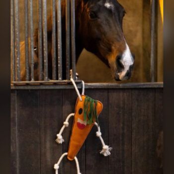 Leksak morot från Wahlsten